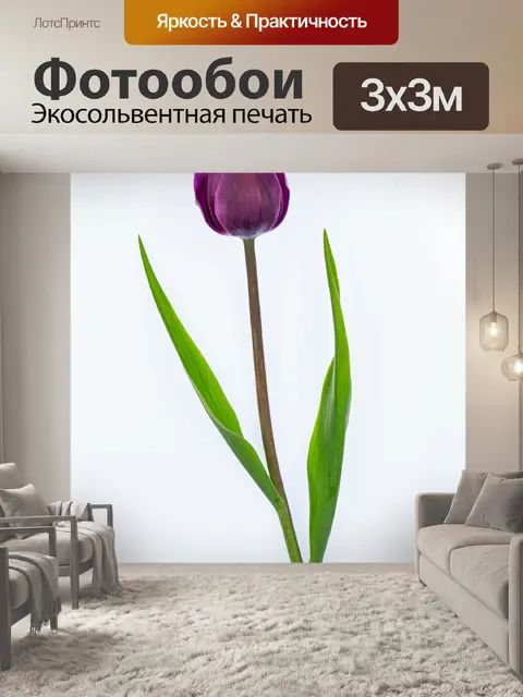 Фотообои Тюльпан