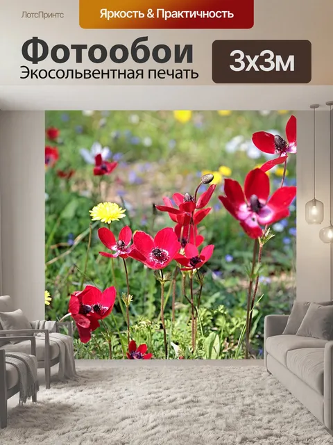 Фотообои Анемоны