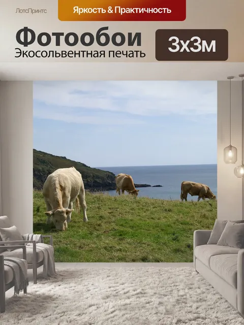 Фотообои Корнуолл