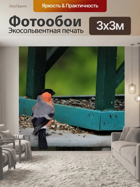 Фотообои Снегирь