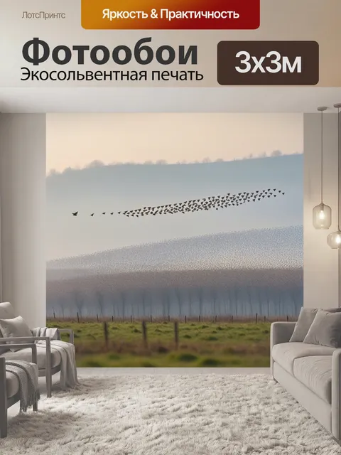 Фотообои небо с туманом и летающими наседками