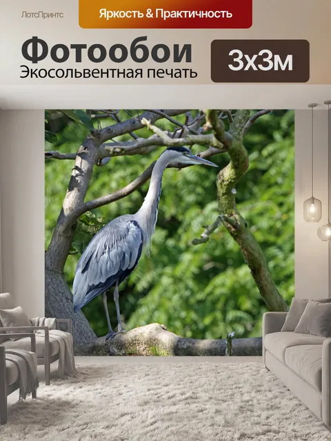 Фотообои Heron птиц в дерево