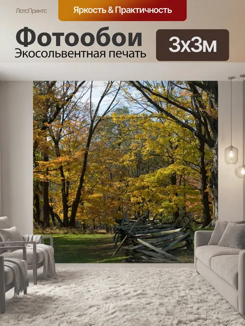 Фотообои Жокей Hollow
