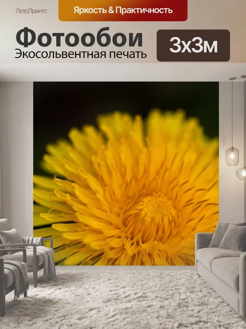Фотообои Одуванчик