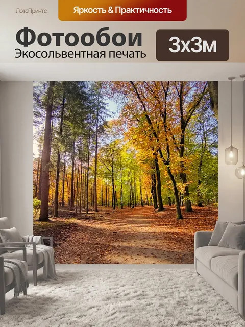 Фотообои Лес