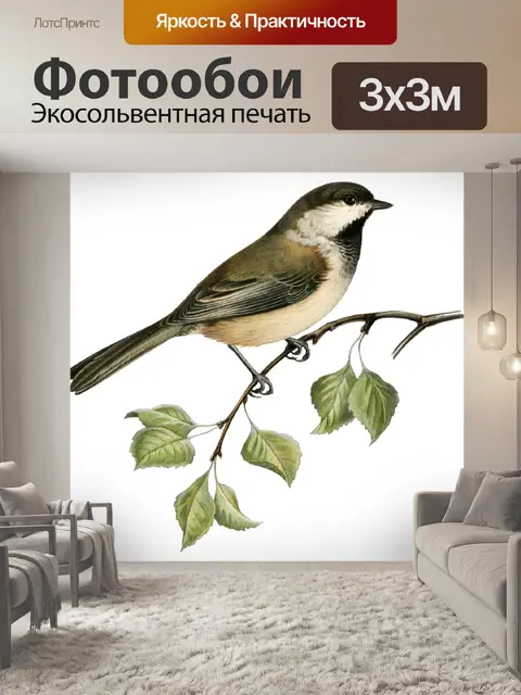Фотообои Винтажный клипарт птица иллюстрация