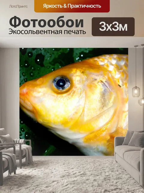 Фотообои Корм для пресноводных рыб