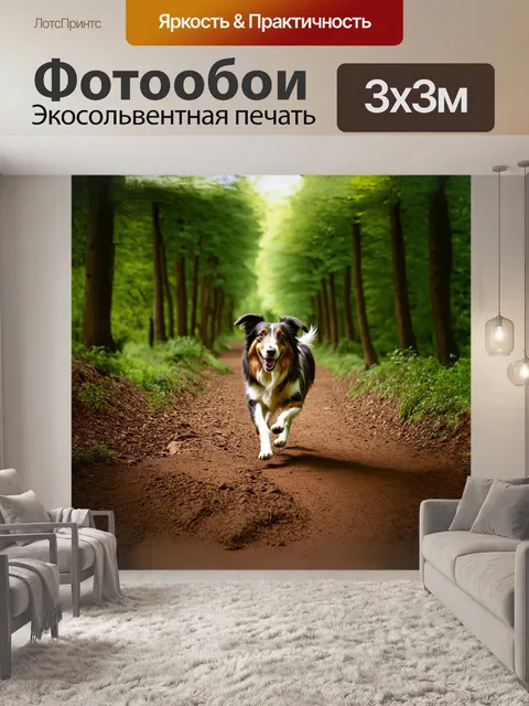 Фотообои на узкой тропинке, протянувшейся между деревьями, колли бежит с радостным выражением на лице, его шерсть…