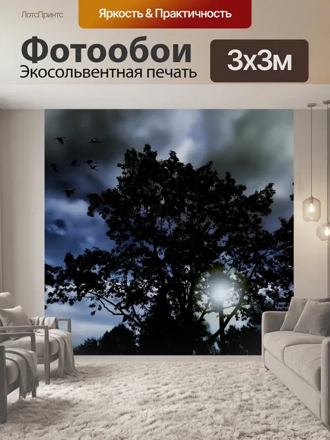 Фотообои Ночь