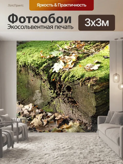 Фотообои Лес