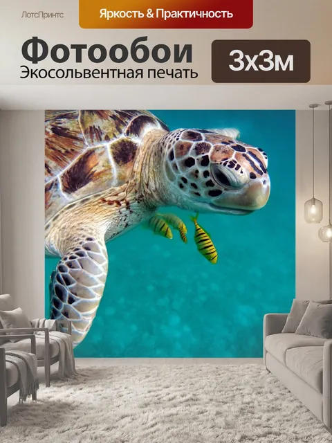 Фотообои Воды