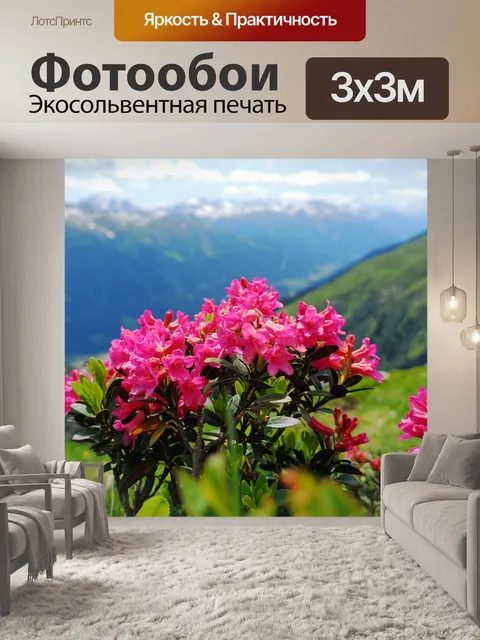 Фотообои Альпийская роза