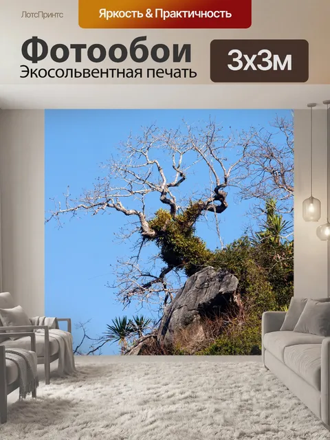 Фотообои Вид на восход солнца утром в Шри Нан