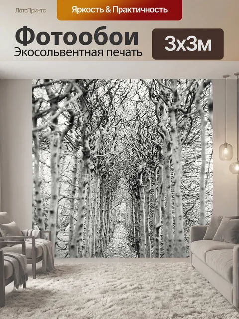 Фотообои Дорожка