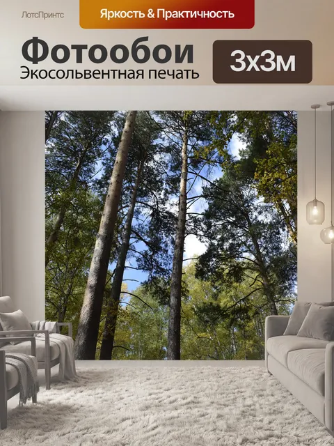 Фотообои Лес