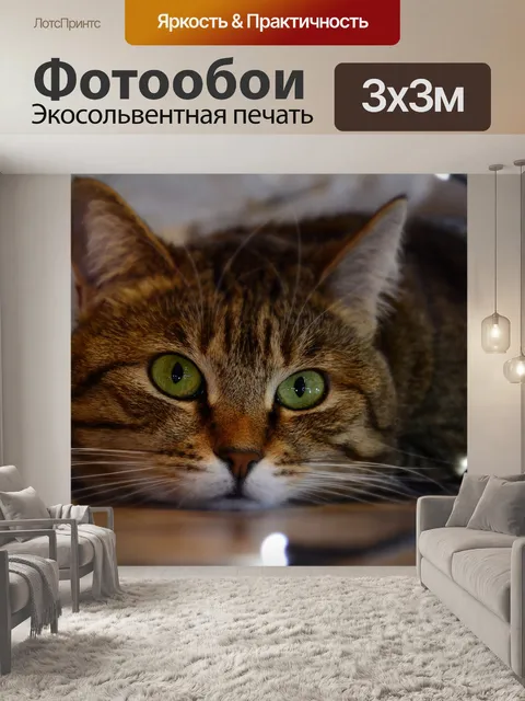 Фотообои Кошка