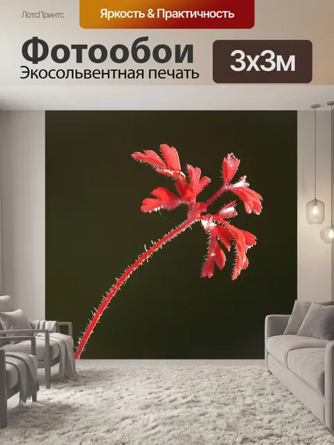 Фотообои Лист