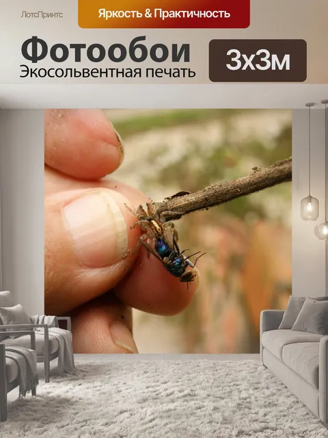 Фотообои Природа