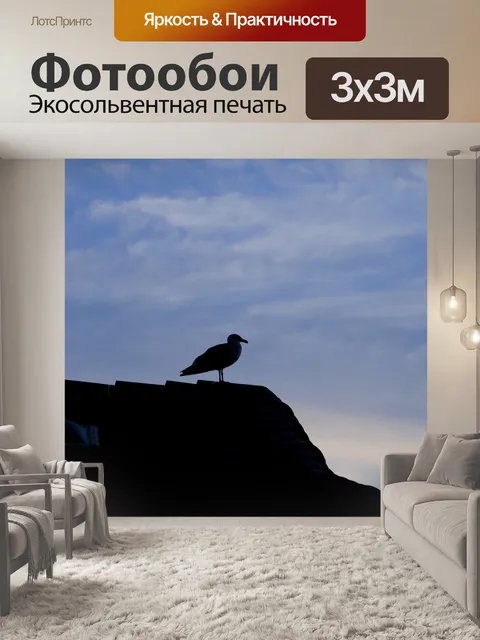 Фотообои Силуэт Чайка