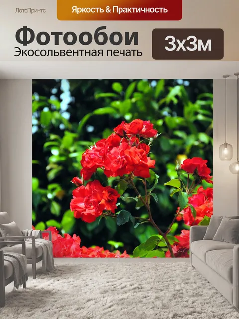 Фотообои Взрыв цвета