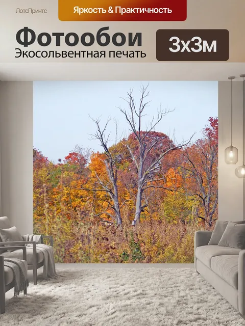 Фотообои Мертвое дерево в поле