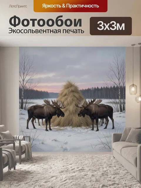 300 × 300 см · Экосольвентная печать