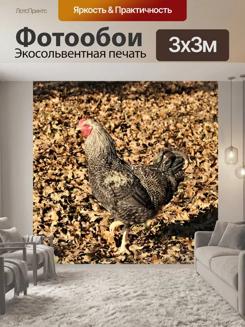 Фотообои Черно-белый петух в листьях