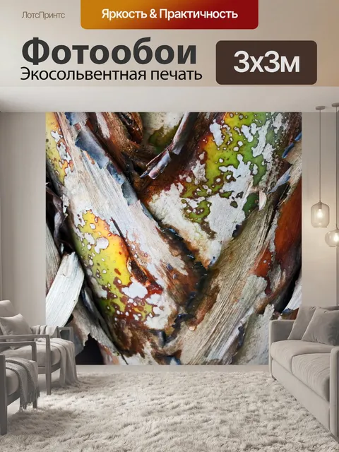 Фотообои стебли гигантской стрелиции