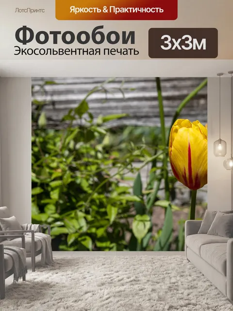 Фотообои Тюльпаны