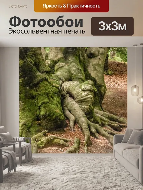Фотообои Корень