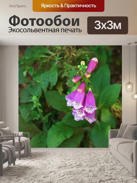 Фотообои розовые цветы на кусте в саду