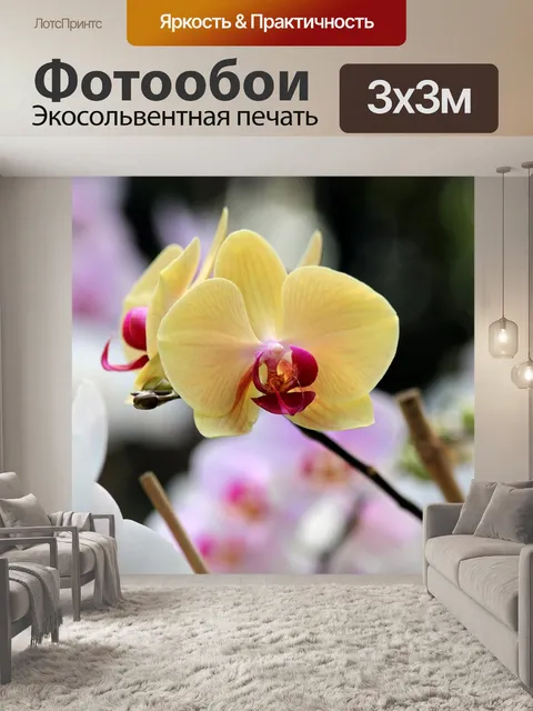 Фотообои Орхидея