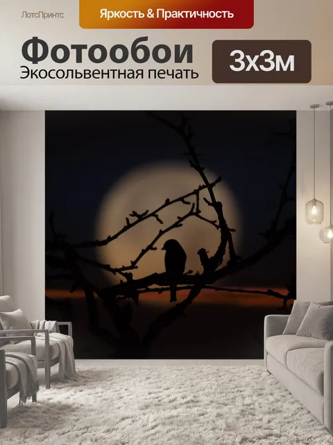 Фотообои Птица