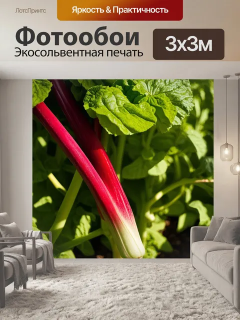 Фотообои ревень в деталях, высокий контраст между красными стеблями и зелеными листьями, макросъемка, фокус на…