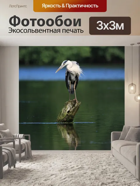 Фотообои Цапля