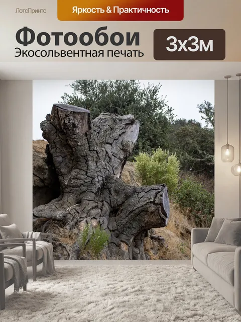 Фотообои Ствол дерева