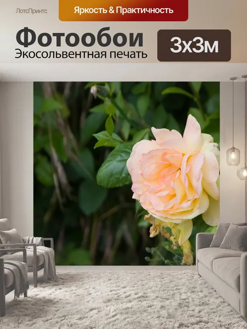 Фотообои Розы