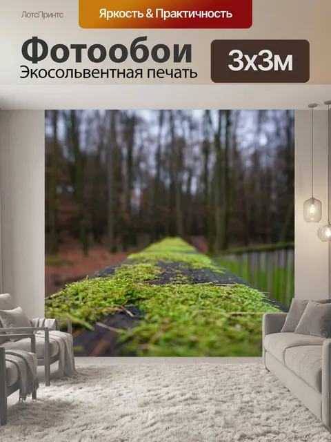 Фотообои Мост