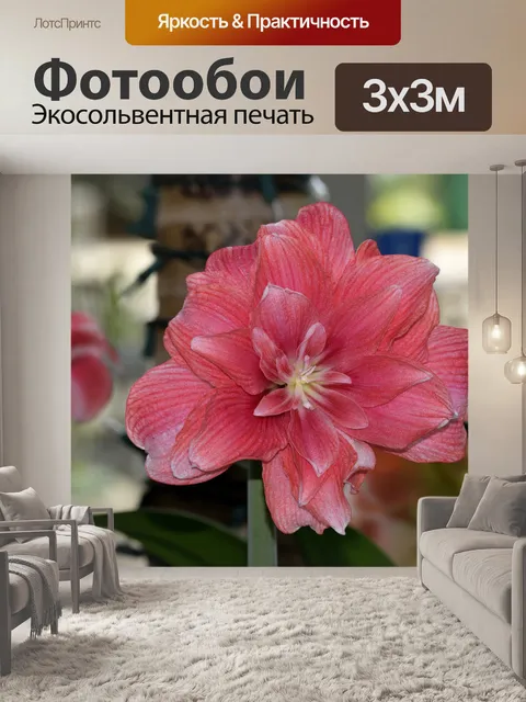 Фотообои Яркий розовый цветок