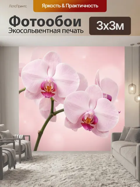 Фотообои Нежные розовые орхидеи