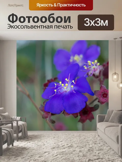 Фотообои Розы