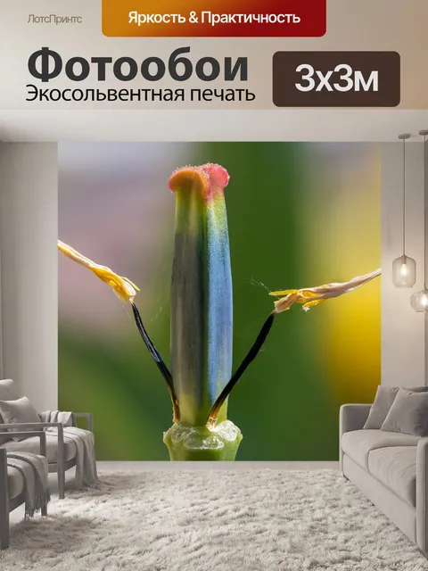 Фотообои Увядшие тюльпаны