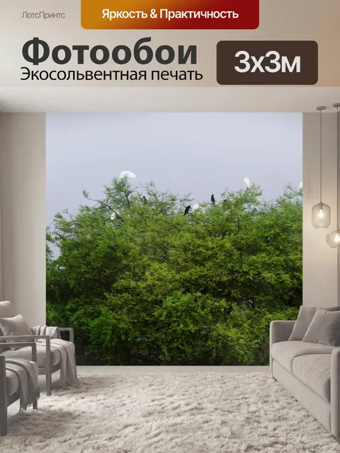 Фотообои Любимое место