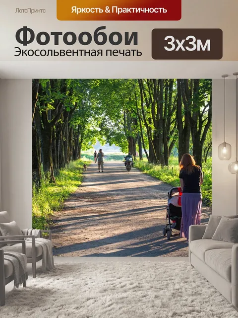 Фотообои Аллея