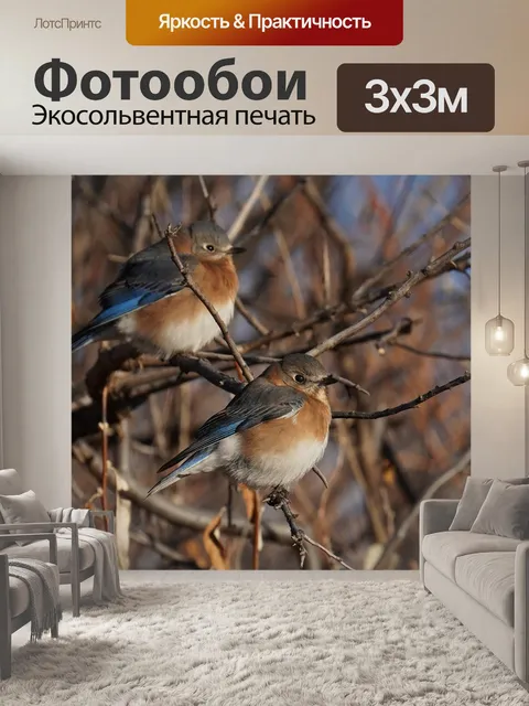 Фотообои Птицы