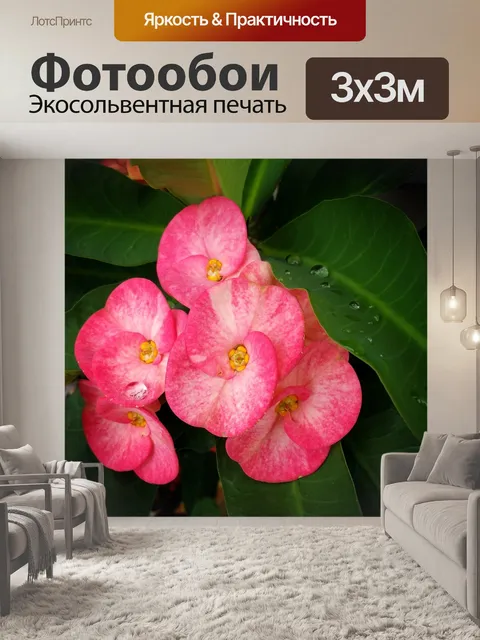 Фотообои Цветы