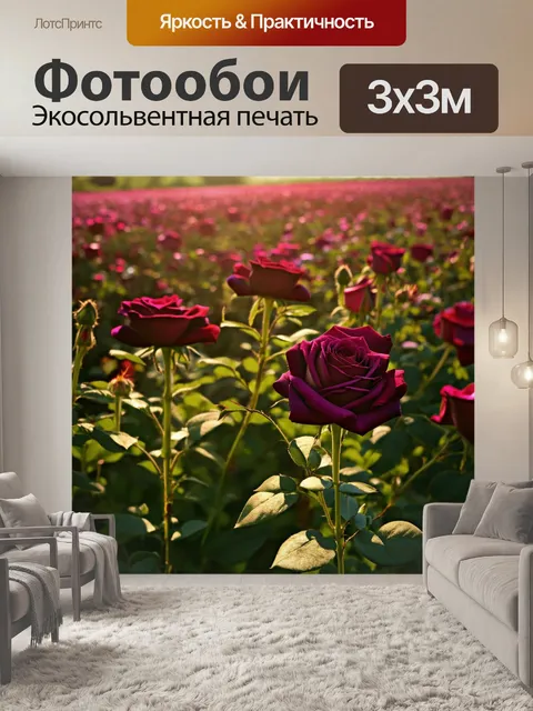 Фотообои поля с бордовыми розами
