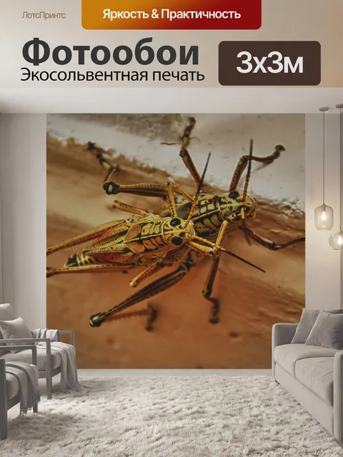 Фотообои Животные