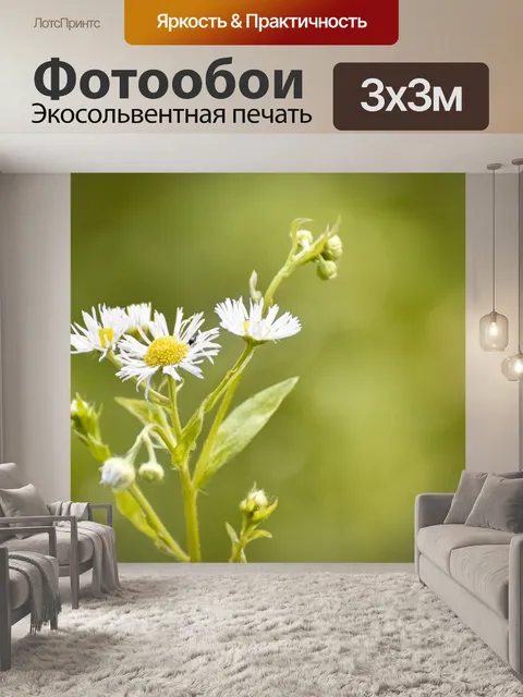 Фотообои Ромашки