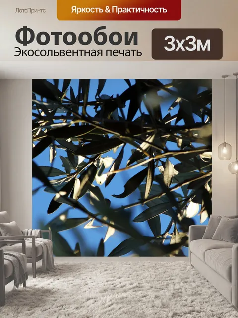 Фотообои листья оливкового дерева в солнечном све